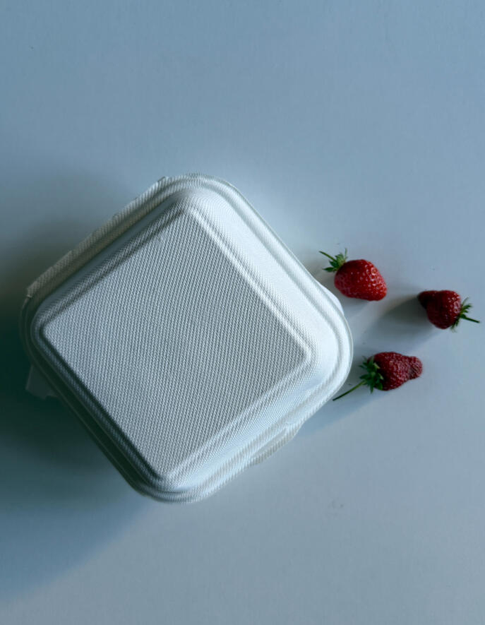 bento cake box closed